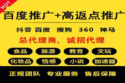 网络营销新篇章：竞价推广案例分析